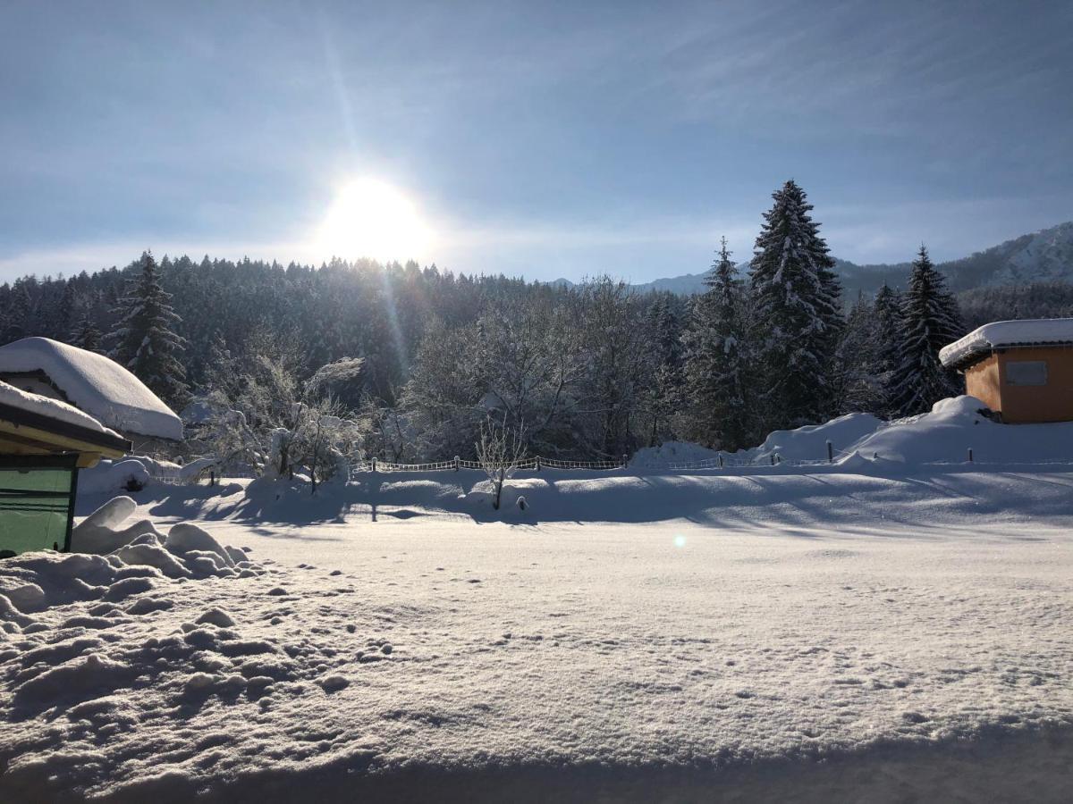 Haus Sonja Daire Faak am See Dış mekan fotoğraf