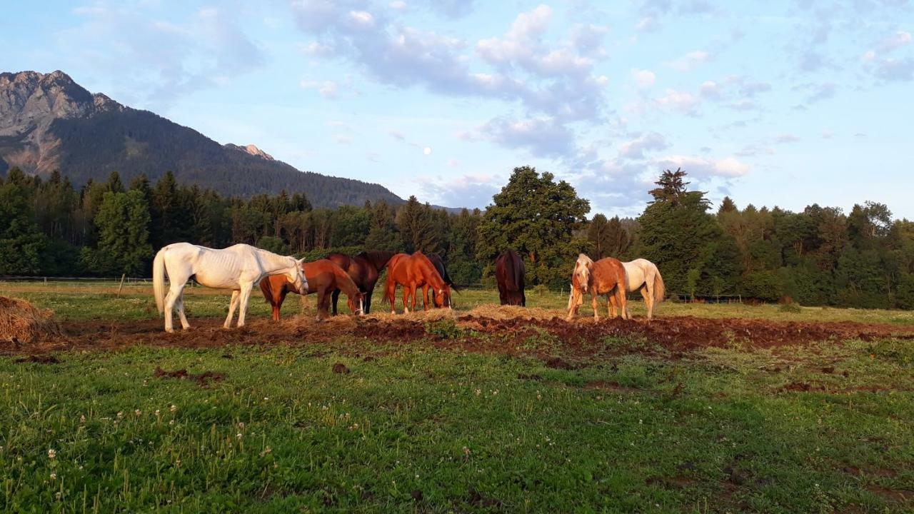 Haus Sonja Daire Faak am See Dış mekan fotoğraf